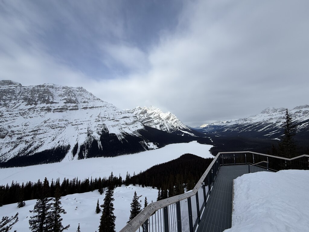 캘거리 출발: 겨울 벤프 일일 투어 (두바이 쫀득 쿠키 증정)
