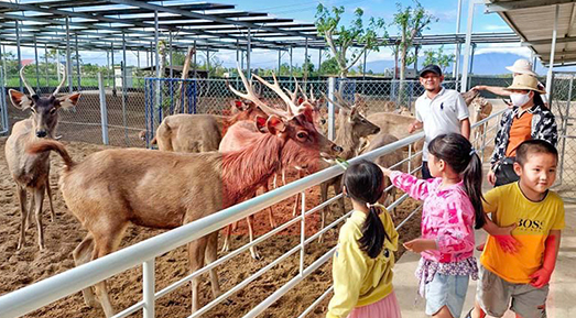 나트랑 판랑 사막 지프 원데이 단독 투어