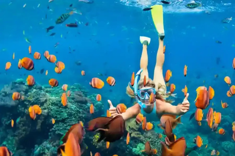 Palau New South Rock Island Tour