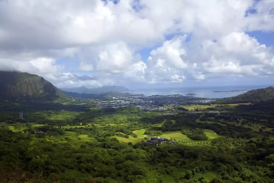 하와이 공항 픽업 단독 투어 - 팔리 전망대, 다이아몬드 헤드, 호놀룰루 체크인 투어