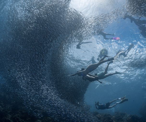 activity_detail_image