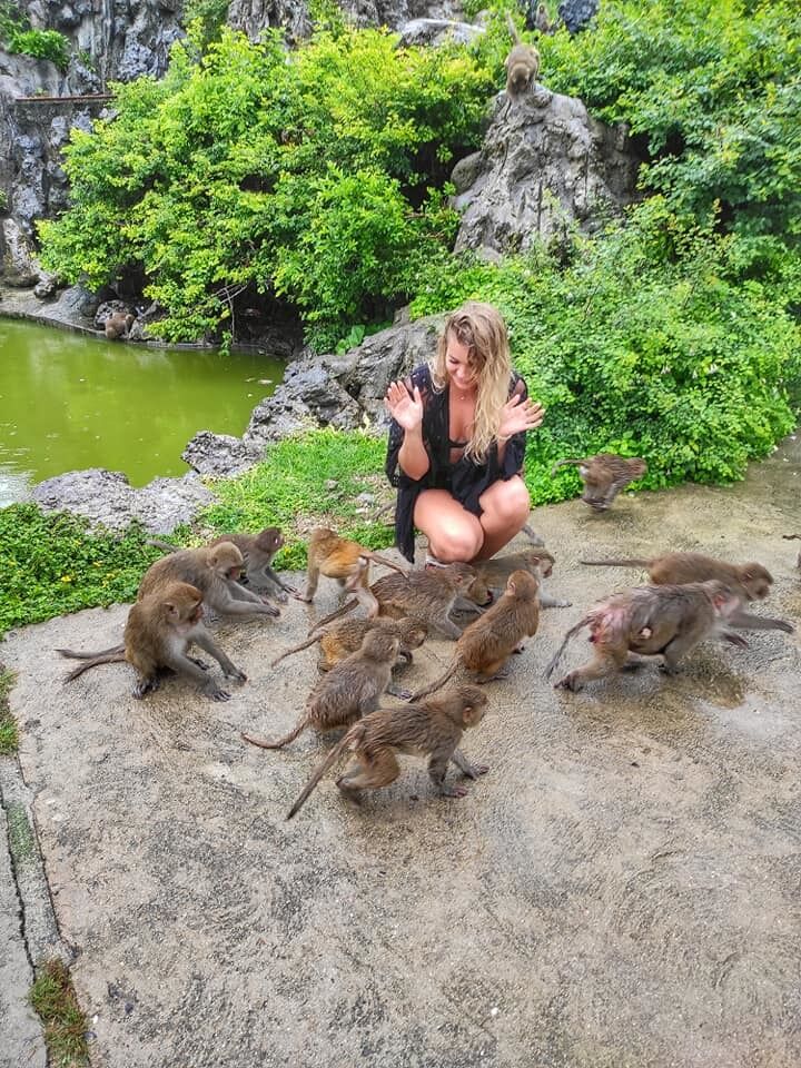 [피크타임] 나트랑 화란섬 & 원숭이섬 스피드보트 투어