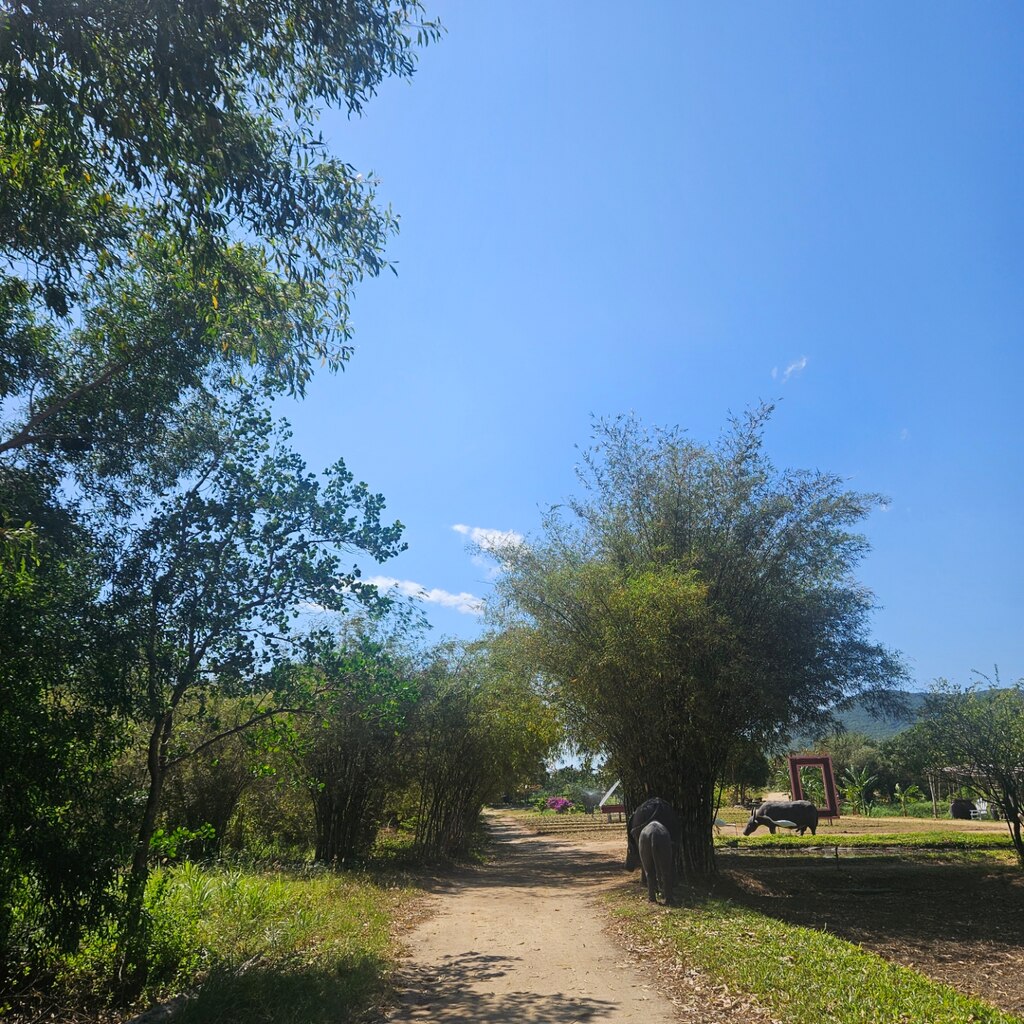 [피크타임] 나트랑 화란섬 & 원숭이섬 스피드보트 투어