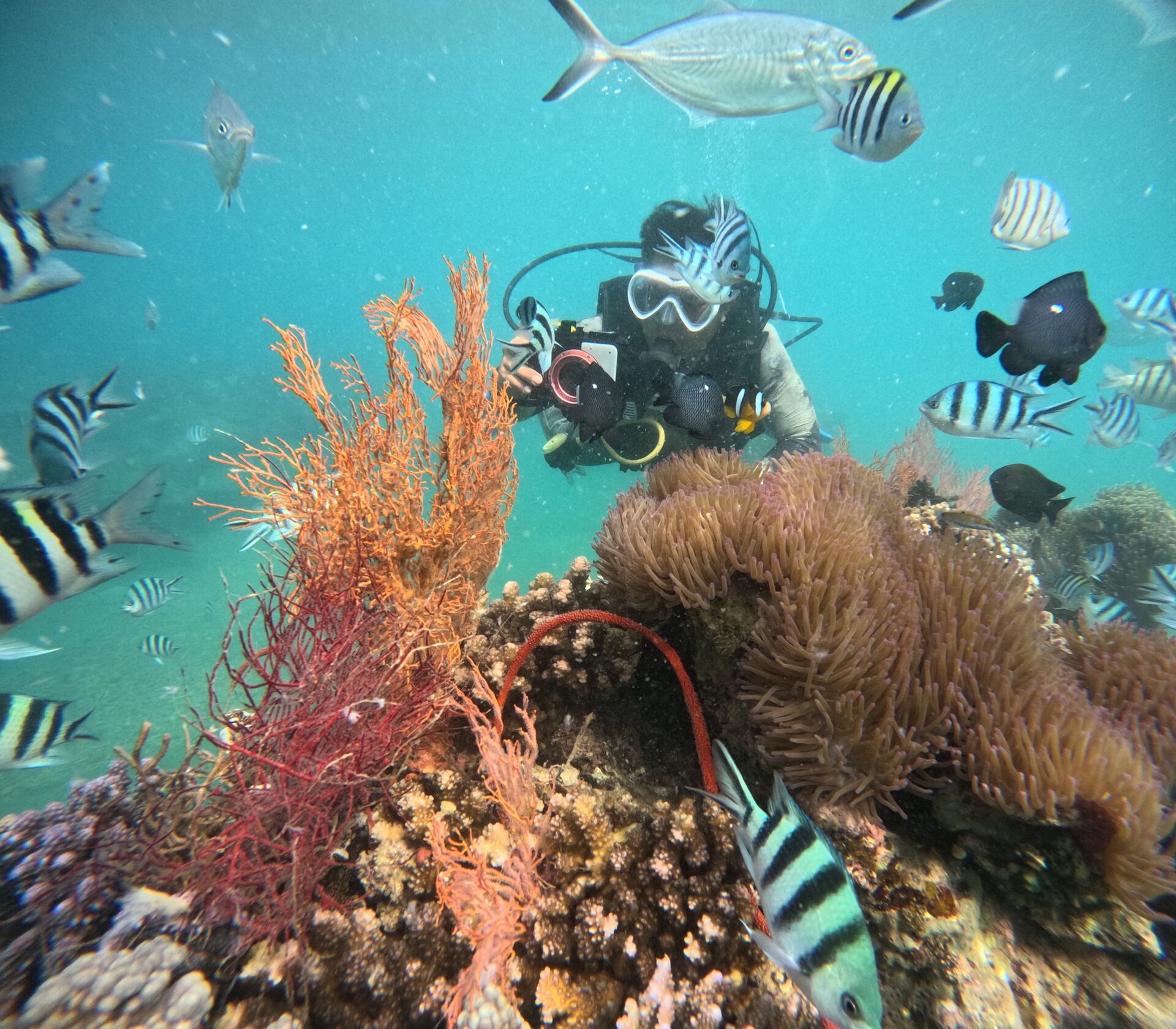 푸꾸옥 4섬 호핑 투어 (스피드보트, 케이블카 투어 코스, 조인/단독 선택)