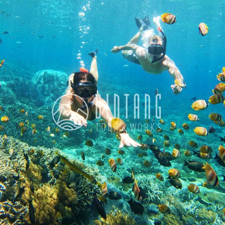 발리 누사 페니다 & 누사 렘봉안 스노클링 & 섬 데이 투어