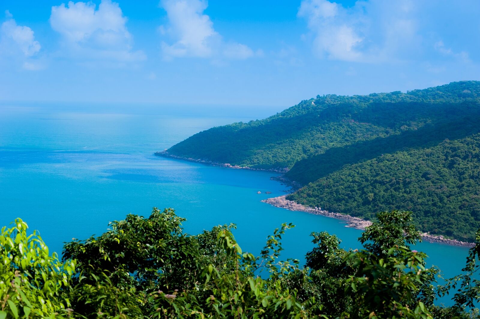 [다낭고스트] 선짜 반도 지프 단독 투어 (3시간)