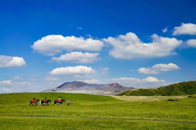 구마모토 출발: 아소 쿠로카와 유유버스투어 (쿠로카와 하차 가능)
