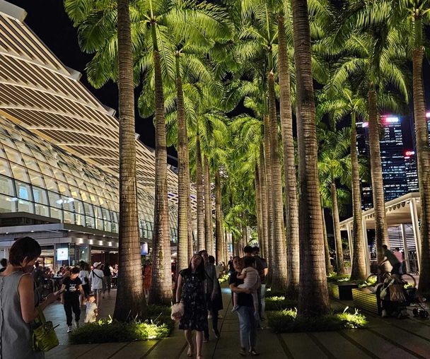 activity_detail_image