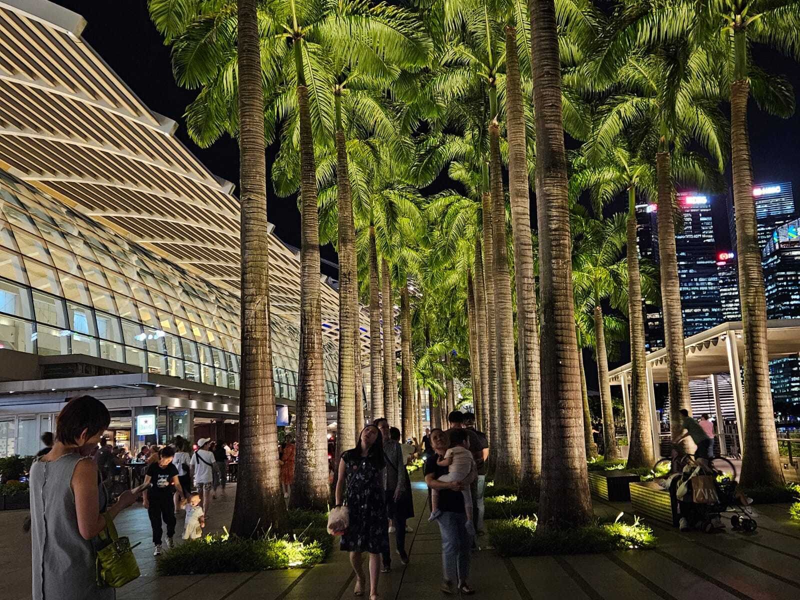 싱가포르 야경 투어 (헬릭스 브리지 & 리버 크루즈 & 스펙트라 쇼 & 랩소디 쇼)