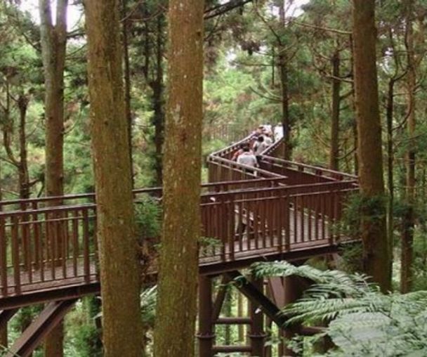 activity_detail_image