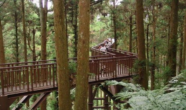 Wangyou Forest & Shanlinxi Day Tour by JJ Taxi Tour (Taipei Departure)