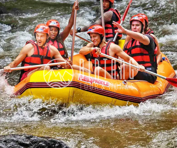 activity_detail_image