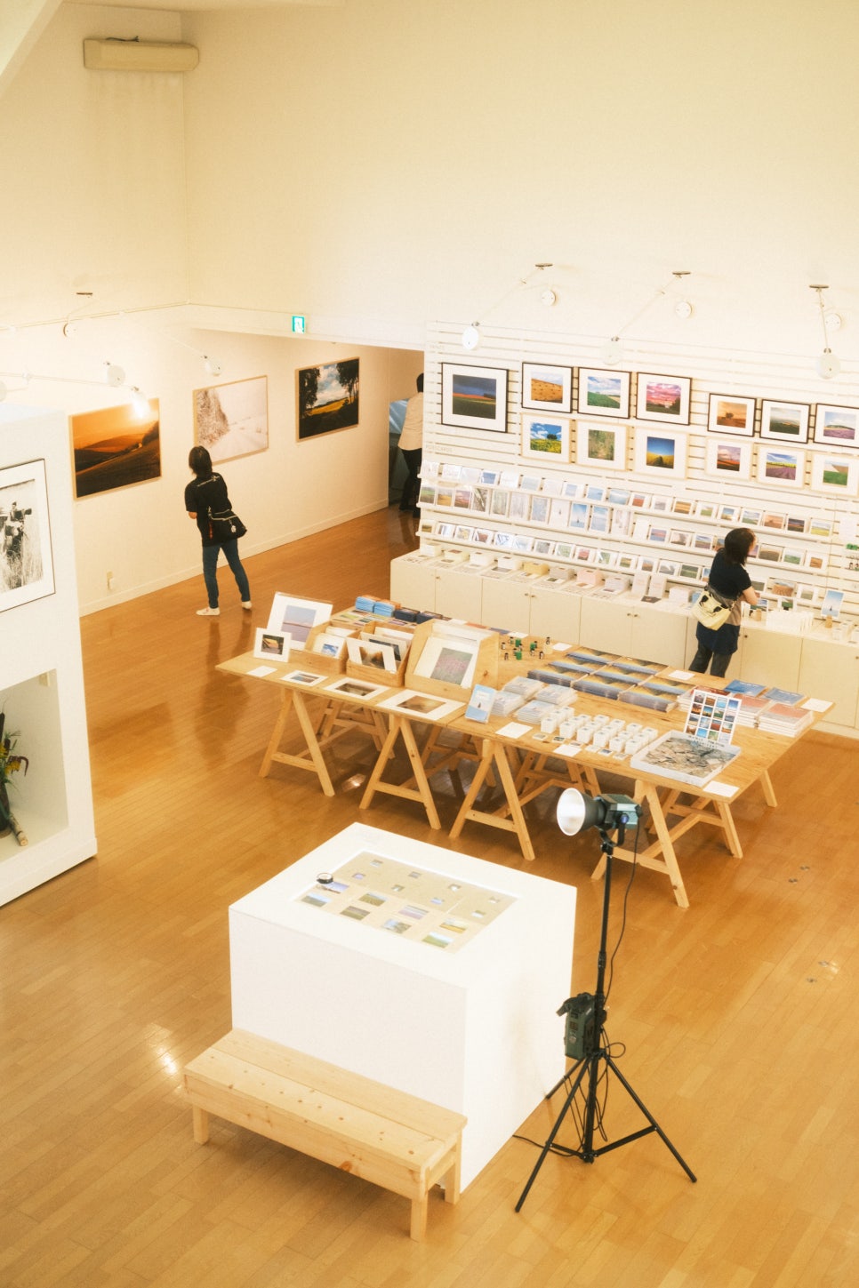 [와쿠와쿠프리미엄] 북해도 비에이 후라노 일일 버스투어 홋카이도 1호선 준페이 (29인승 VIP 리무진버스)