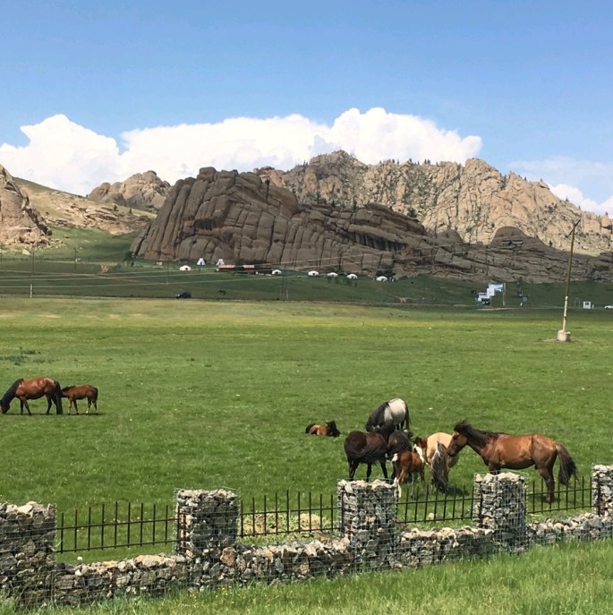 [노니투어] [1박2일] 몽골 여행의 정석! 테를지 현지투어