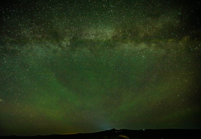 [노니투어] [1박2일] 몽골 여행의 정석! 테를지 현지투어