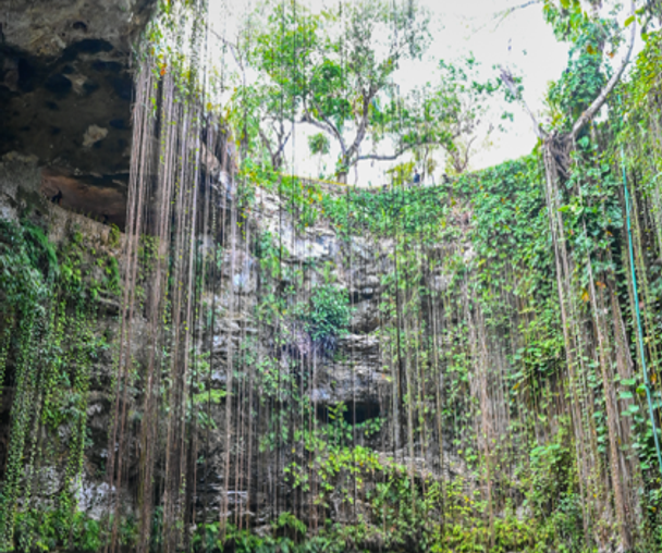 activity_detail_image