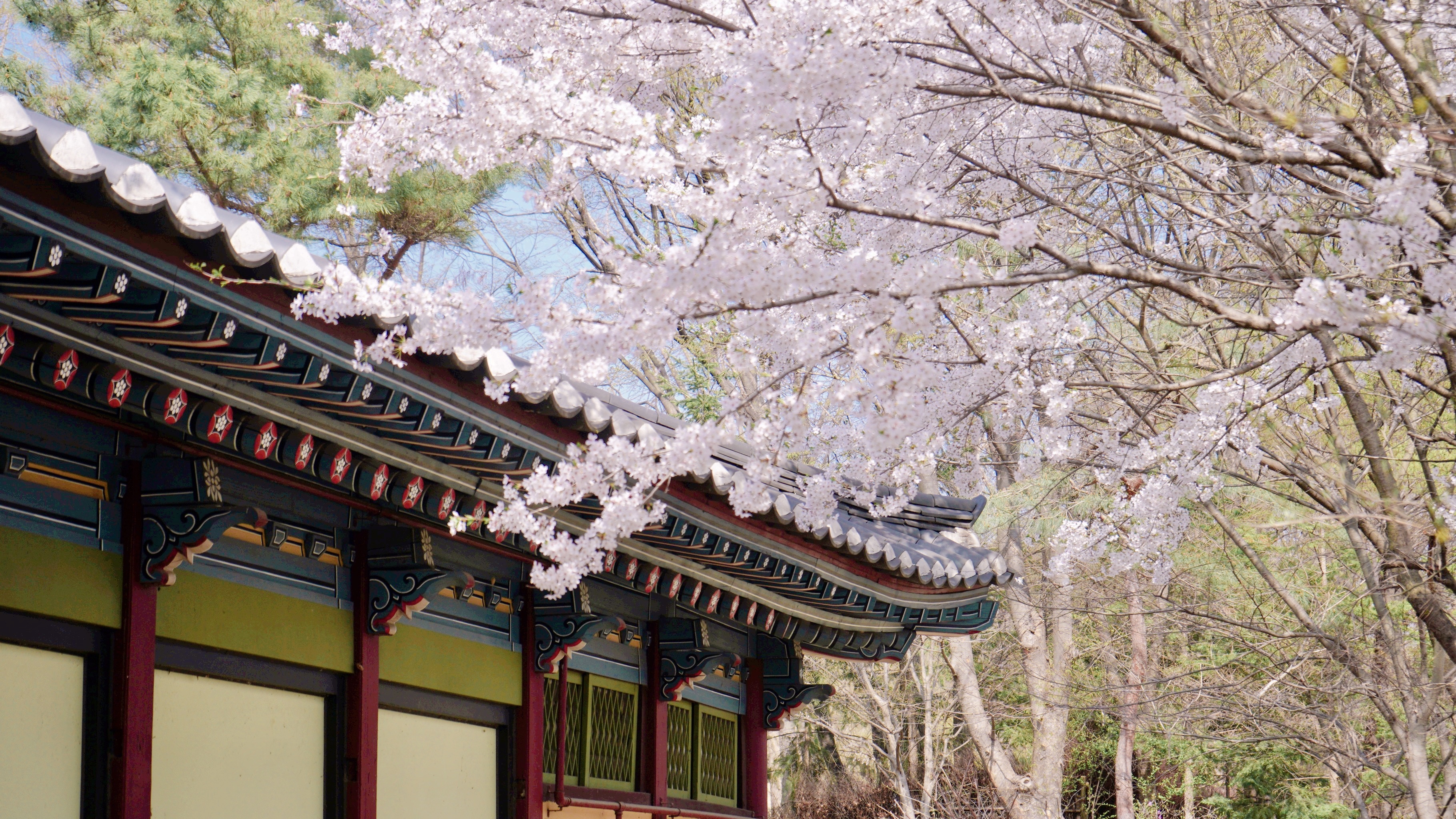 용인 한국민속촌 자유이용권