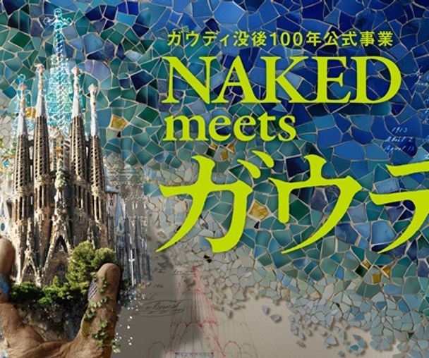 activity_detail_image