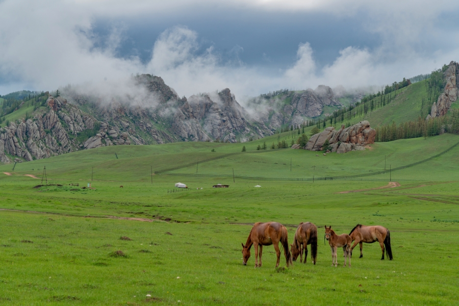 [친구투어] [2박3일] 몽골의 대표 미니사막·테를지·울란바토르 핵심만 빠르게 둘러보는 알찬 코스 투어