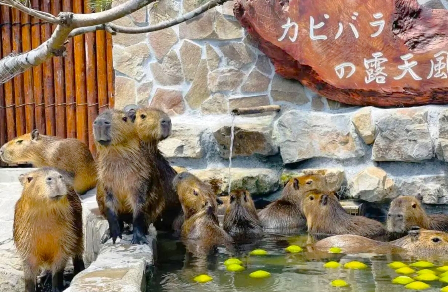 대만 이란 자오시 단독 투어 (한국어가이드)