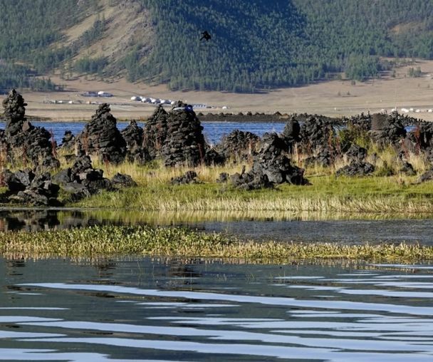 activity_detail_image