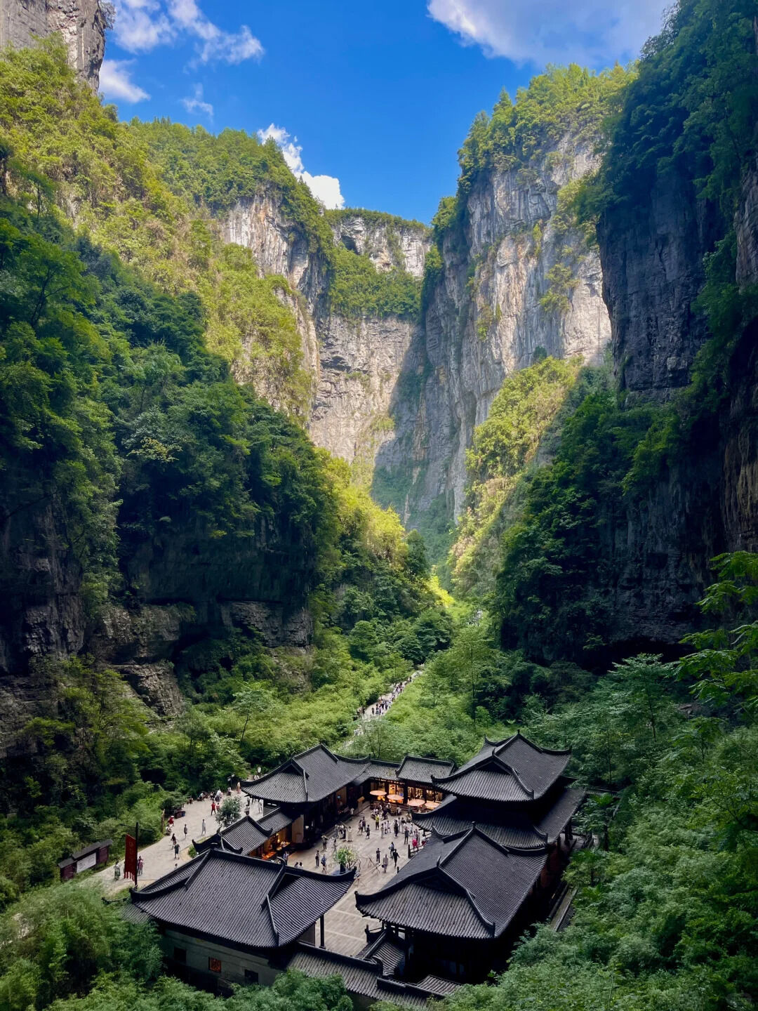 충칭 우롱 천생삼교 & 용수협 원데이 조인투어