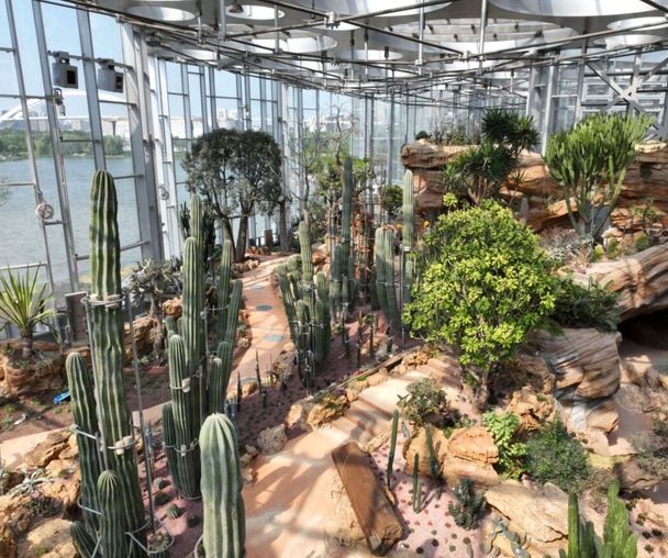 activity_detail_image