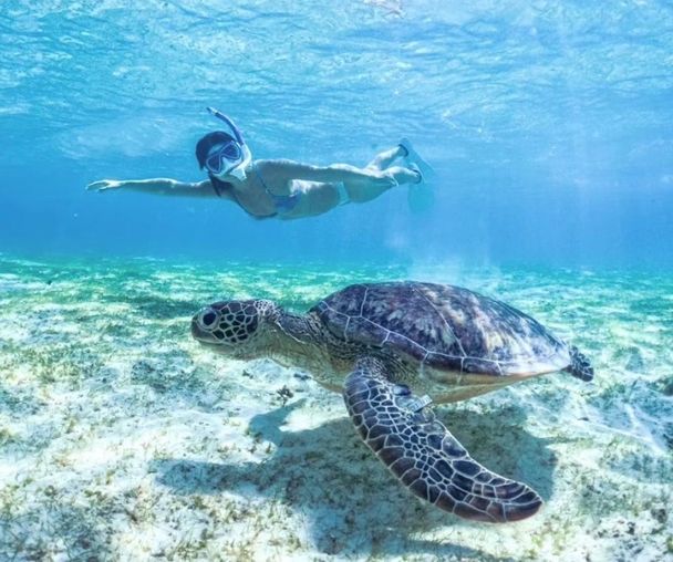 activity_detail_image