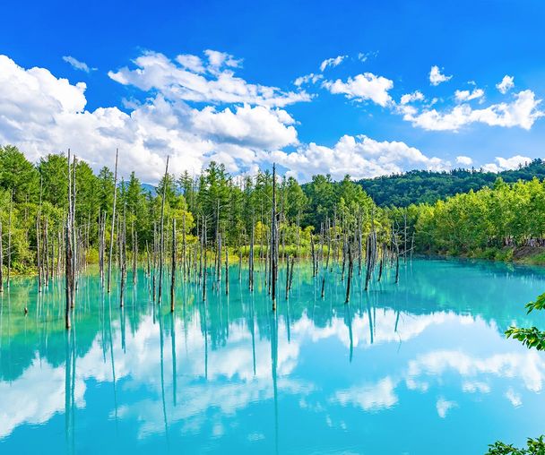 activity_detail_image