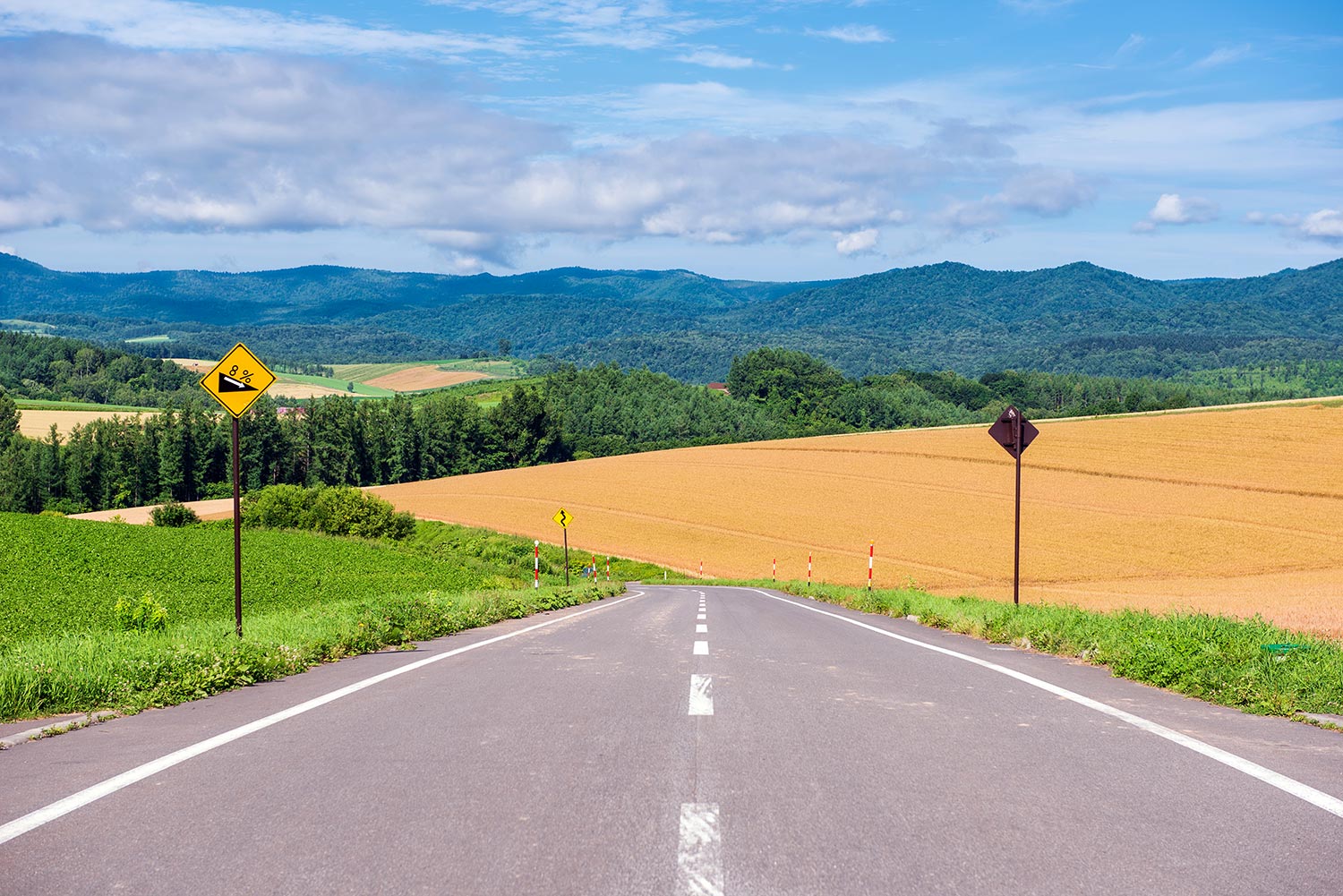 [독점할인] [여행한그릇] 삿포로 출발: 비에이 버스투어 그리고 라이카 무료 사진 촬영