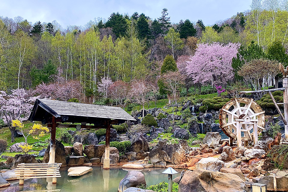 [여행한그릇] 삿포로 출발: 부처의언덕 오타루 조잔케이 버스 투어 그리고 무료 사진 촬영