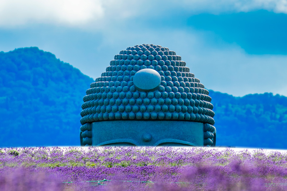 [여행한그릇] 삿포로 출발: 부처의언덕 오타루 조잔케이 버스 투어 그리고 무료 사진 촬영