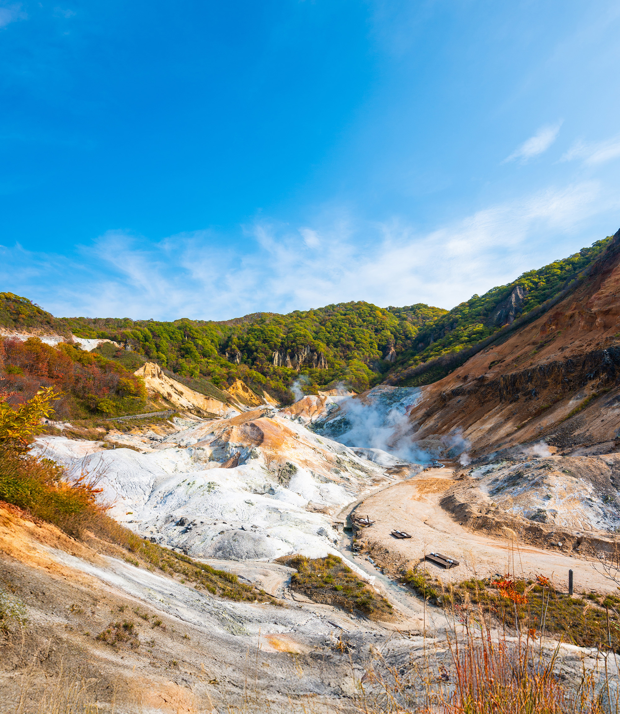 [독점할인] [여행한그릇] 삿포로 노보리베츠 쇼와 신산, 도야, 니세코 버스 투어 - 무료 사진 촬영