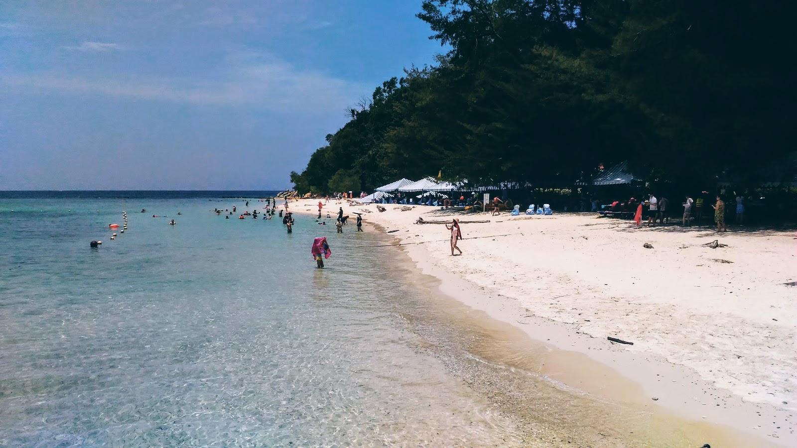 Kota Kinabalu Sapi Island Snorkeling & Water Activities