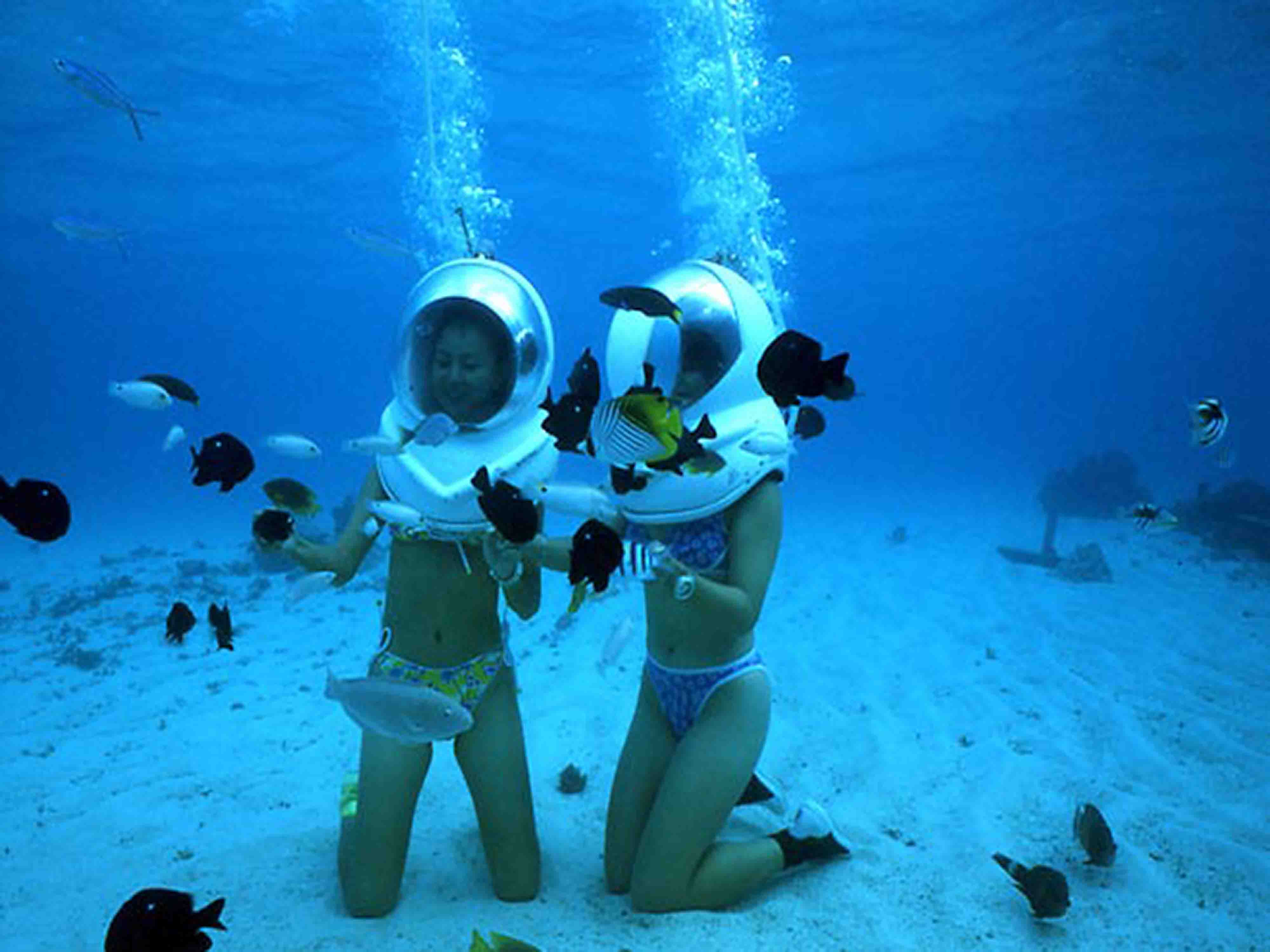 Kota Kinabalu Sapi Island Snorkeling & Water Activities