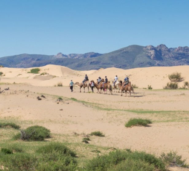 [노니투어] [4박5일] 몽골 고비사막 완전정복 현지 투어
