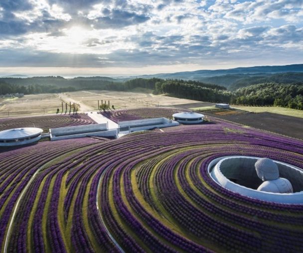 activity_detail_image