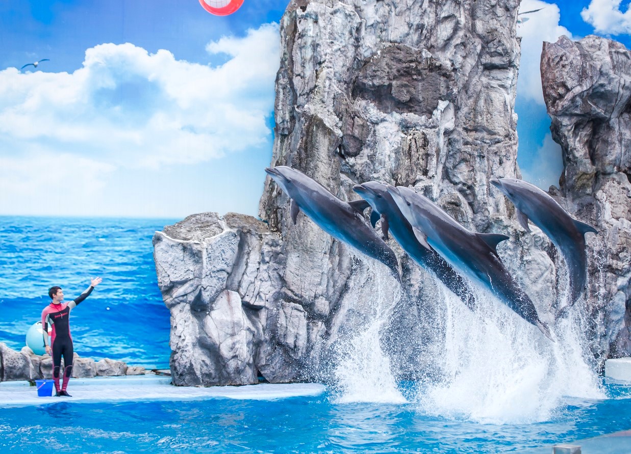 방콕 사파리 월드 단독 투어 (한국어가이드 포함)