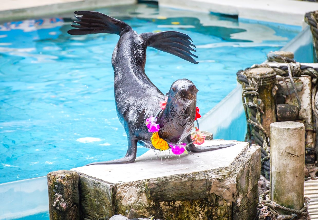 방콕 사파리 월드 단독 투어 (한국어가이드 포함)