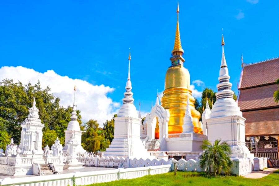 치앙마이 도이수텝 & 왓수안독 & 로얄파크라차프륵 사원 단독 투어