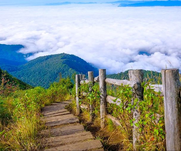 activity_detail_image