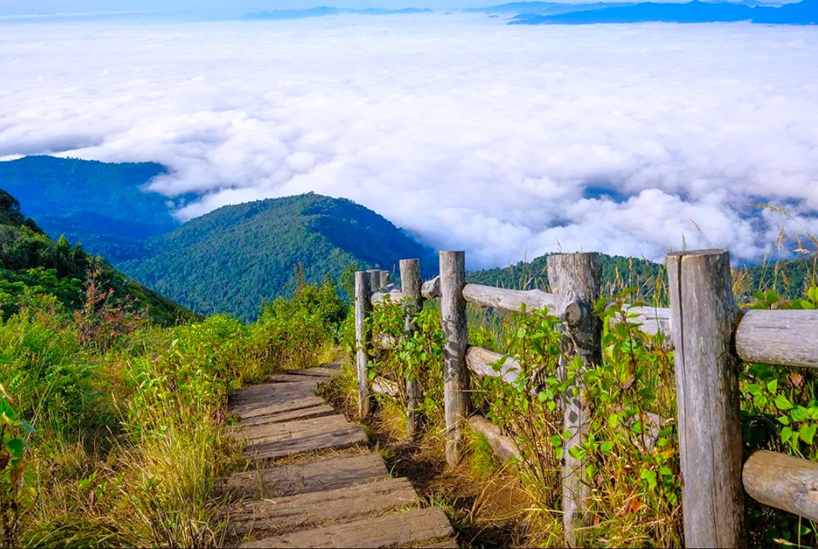 치앙마이 도이인타논 국립공원 트래킹 단독 투어