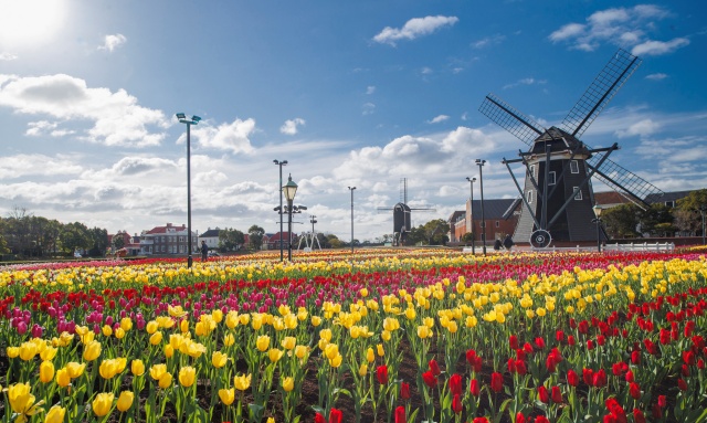 [독점할인] [차량가격] 후쿠오카 공항 및 전지역 픽업/샌딩 교통 이동 서비스