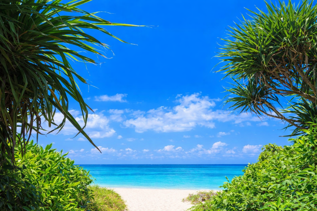 오키나와 나하 공항 및 전지역 픽업/샌딩 교통 이동 서비스