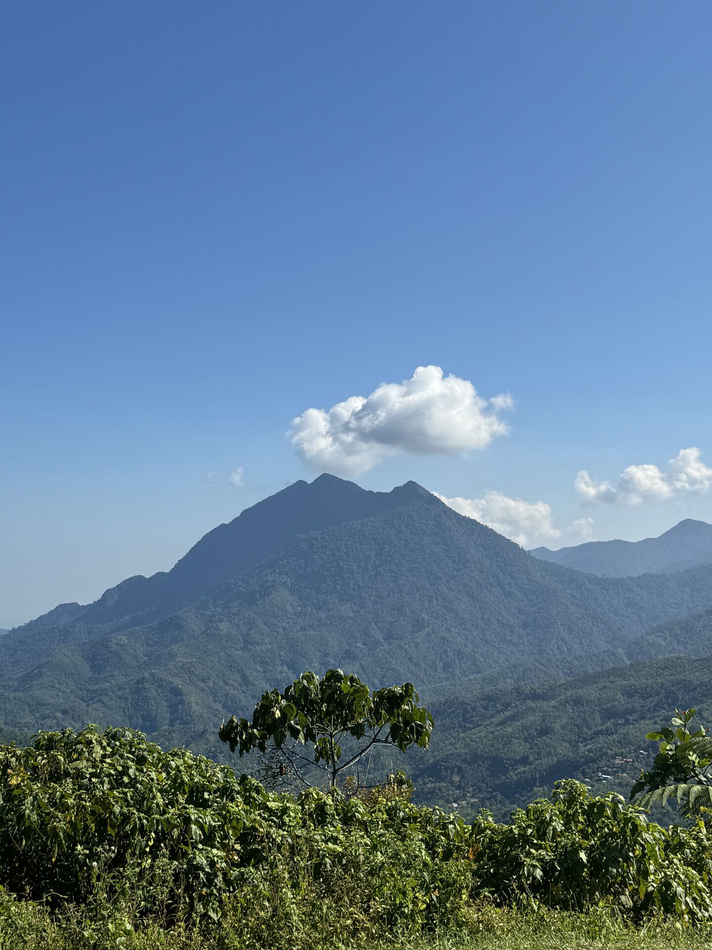 코타키나발루 키나발루산 국립공원 투어 (스타패스 카드 제공)