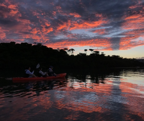 activity_detail_image