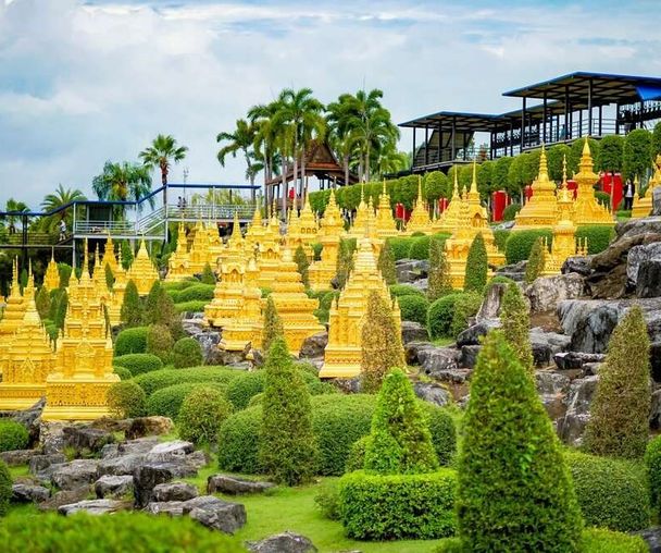 activity_detail_image