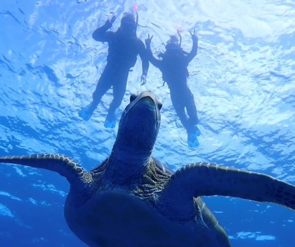 activity_detail_image