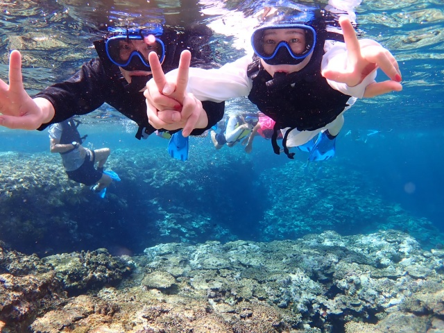 [독점할인] 이시가키 바다 거북이 & 푸른동굴 스노클링 투어
