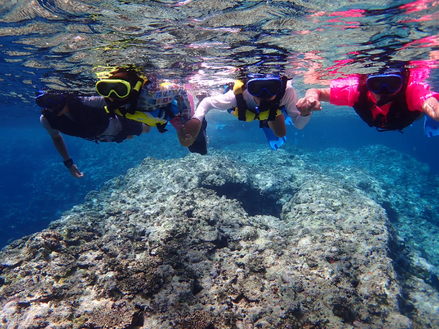 [독점할인] 이시가키 바다 거북이 & 푸른동굴 스노클링 투어